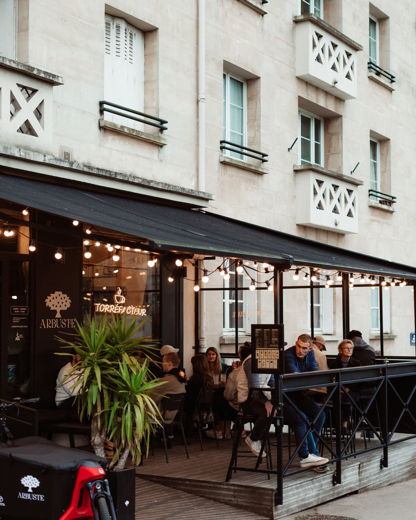 Arbuste café